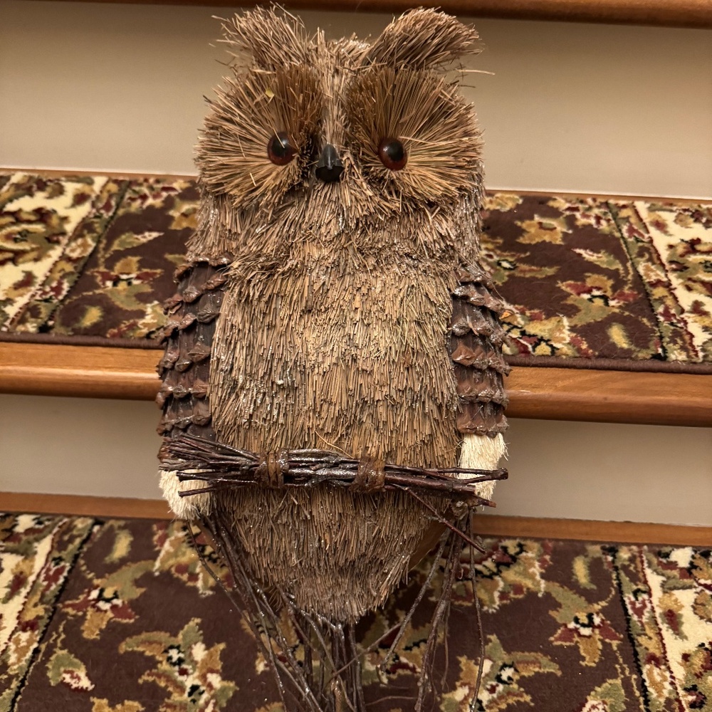 Large Natural Owl